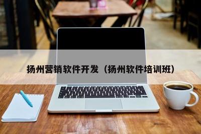 揚(yáng)州營銷軟件開發(fā) 本地網(wǎng)絡(luò)技術(shù)服務(wù)的利器與實(shí)踐指南